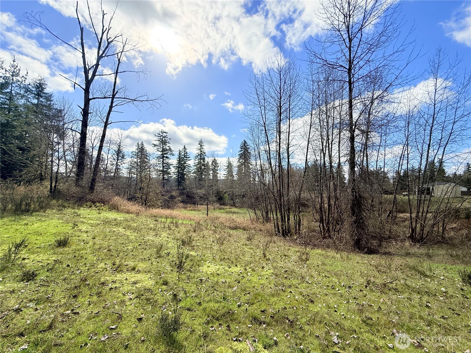 2126 Spencer Road Salkum, WA 98582 - Photo 19 of 24 a view of backyard space