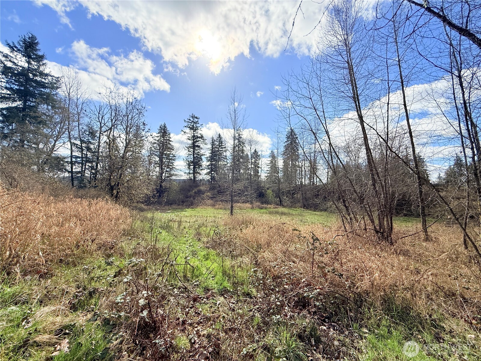 2126 Spencer Road Salkum, WA 98582 - Photo 20 of 24 a view of a yard with lots of green space