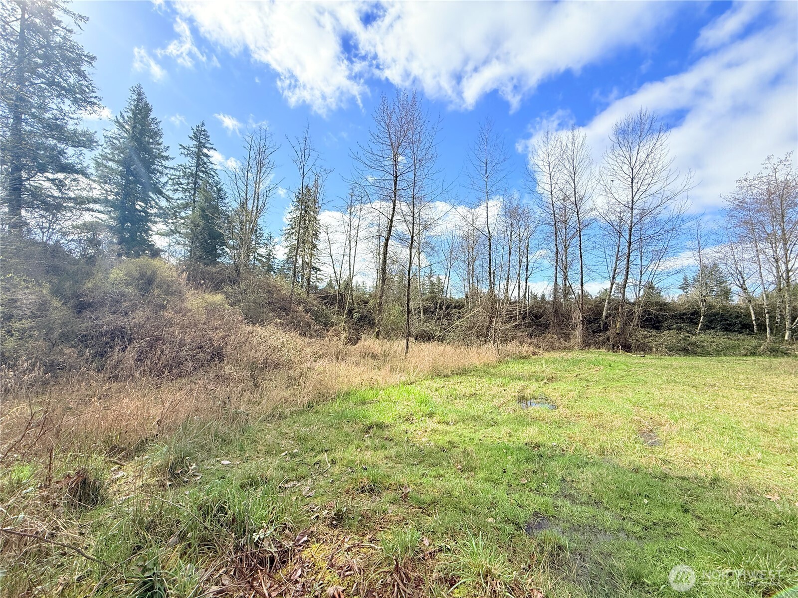 2126 Spencer Road Salkum, WA 98582 - Photo 21 of 24