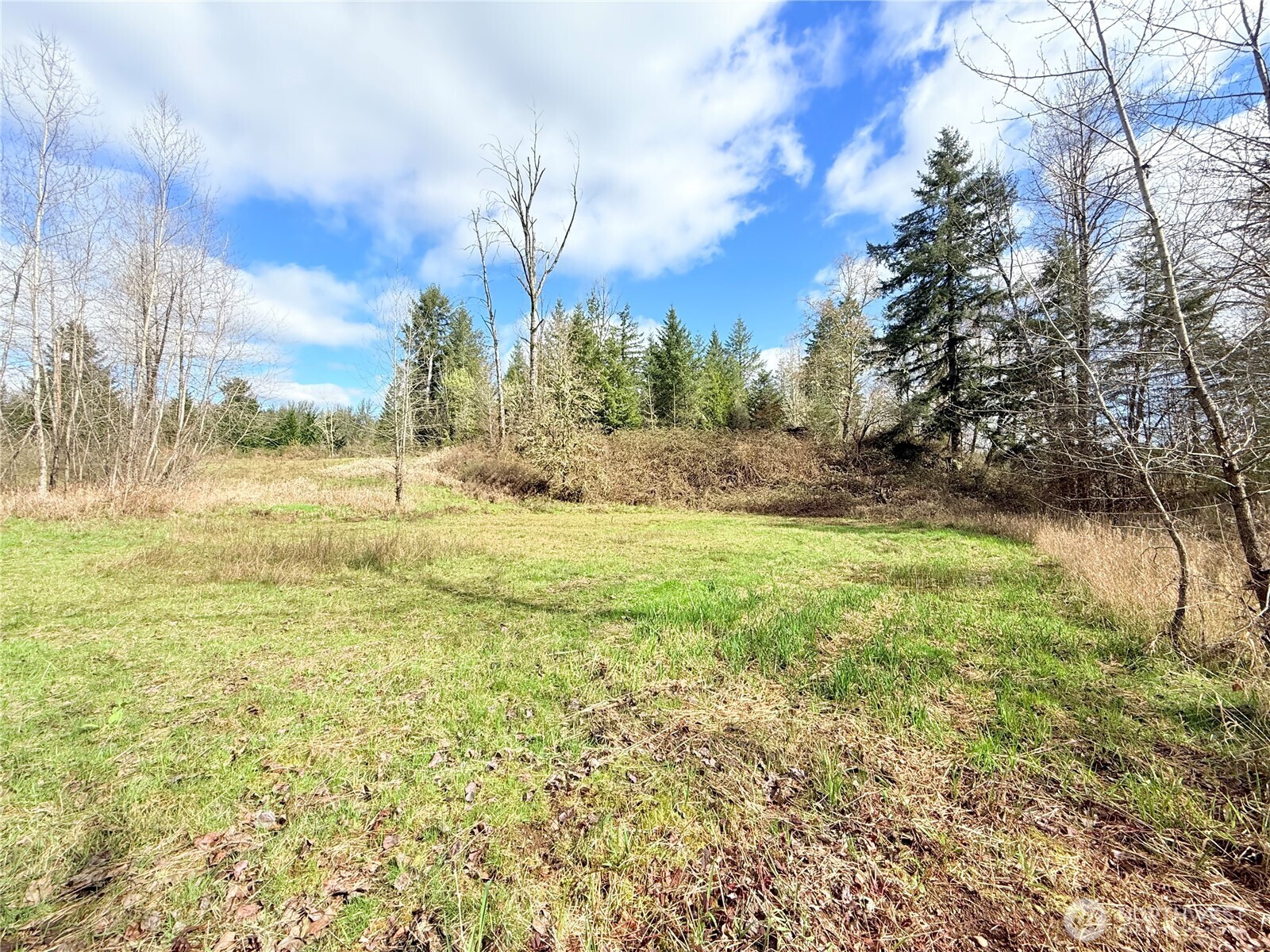 2126 Spencer Road Salkum, WA 98582 - Photo 22 of 24 a view of yard with green space