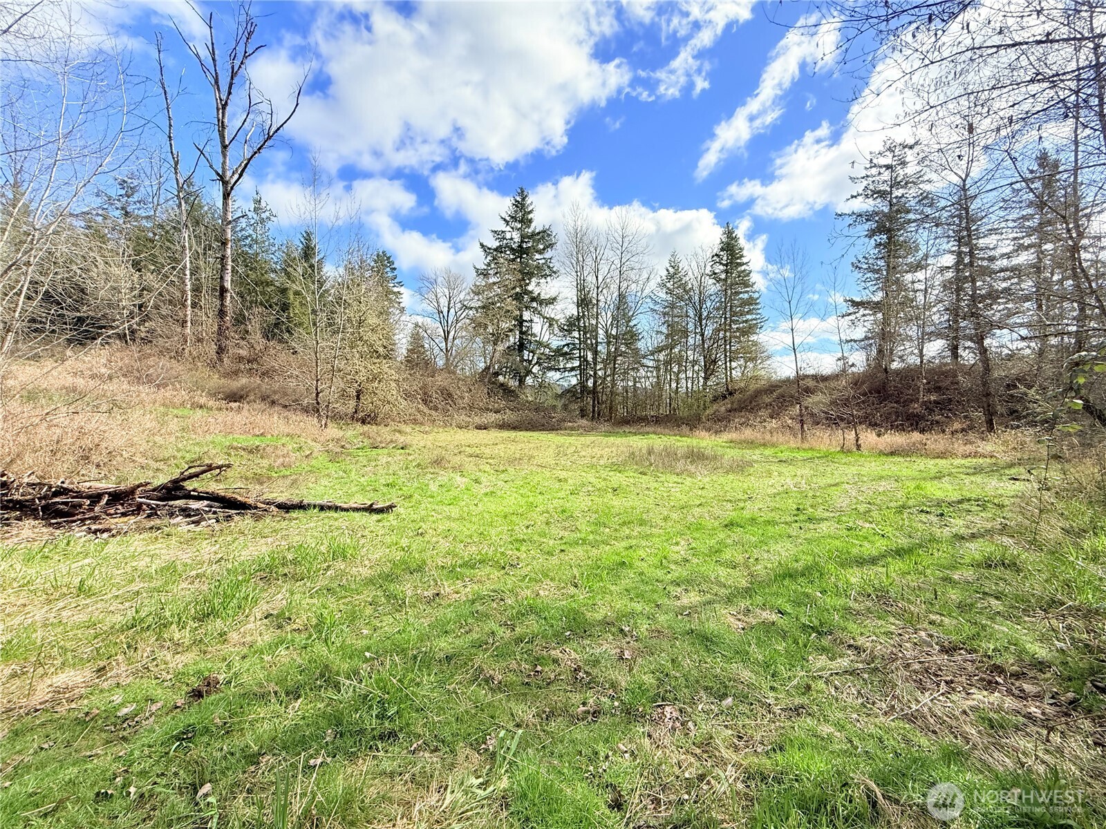 2126 Spencer Road Salkum, WA 98582 - Photo 23 of 24 a view of yard with trees