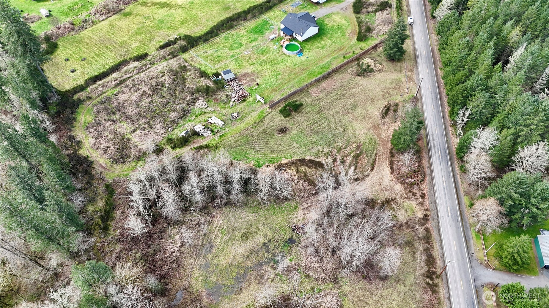 2126 Spencer Road Salkum, WA 98582 - Photo 9 of 24 a view of a yard with plants and large trees