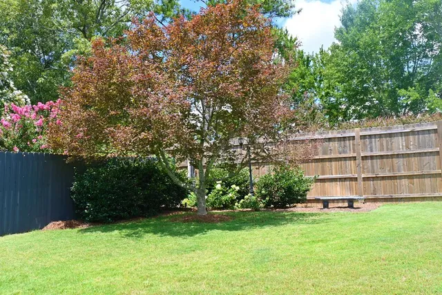 a view of backyard with large trees and plants