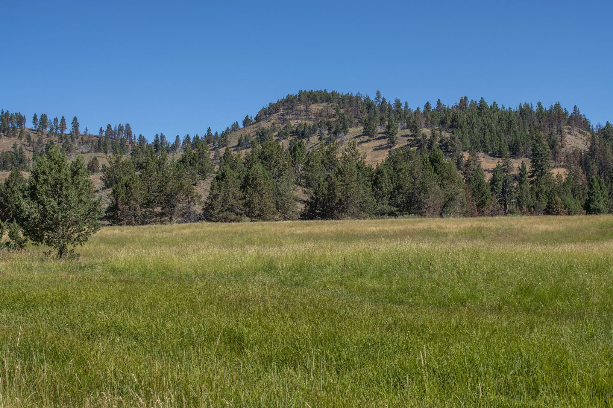 32500 Tackman Road Prineville, OR 97754 - Photo 95 of 112