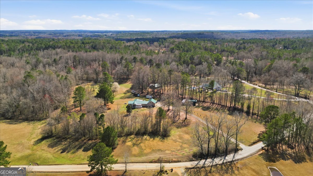 266 Payton Road Griffin, GA 30223 - Photo 37 of 48 a view of a lake in middle of the town