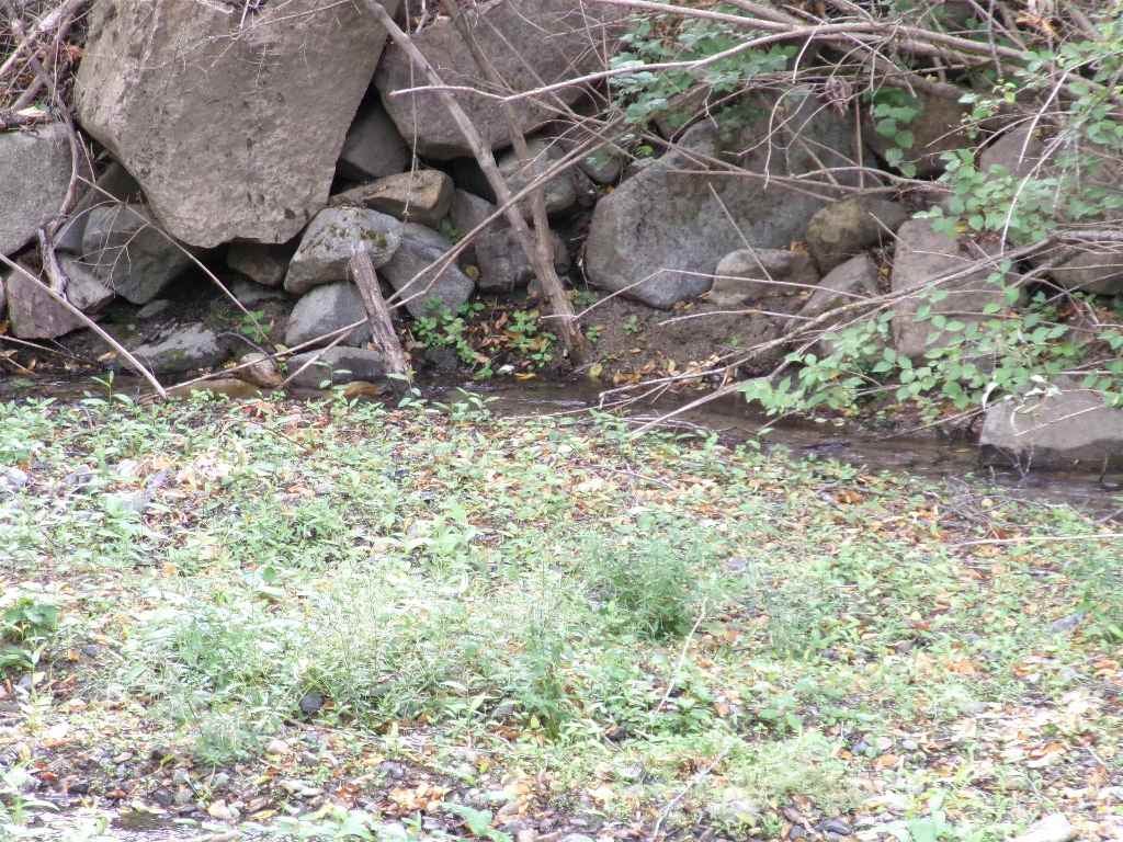Xx2 Humbug Road Yreka, CA 96097 - Photo 12 of 15 Gallery Image 12