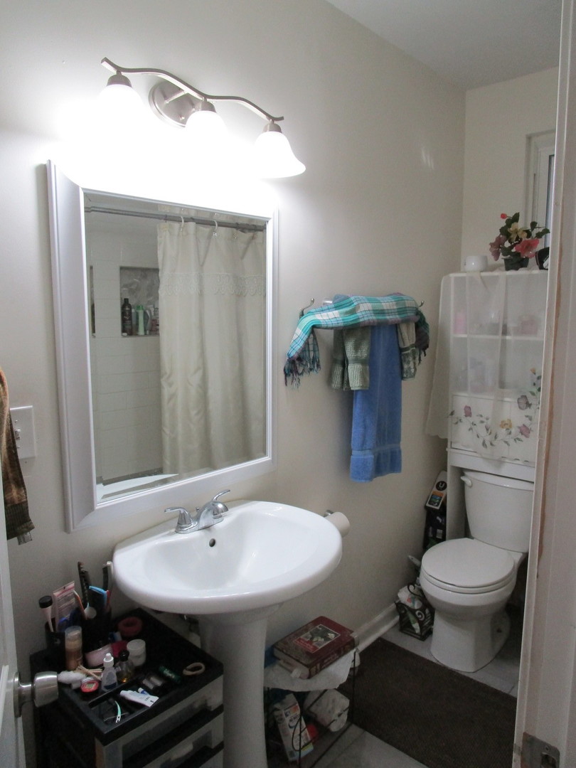 847 North Trumbull Avenue Chicago, IL 60651 - Photo 6 of 18