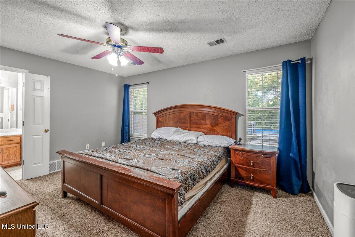 7255 Lucia Lane Walls, MS 38680 - Photo 12 of 24 IMG_9319