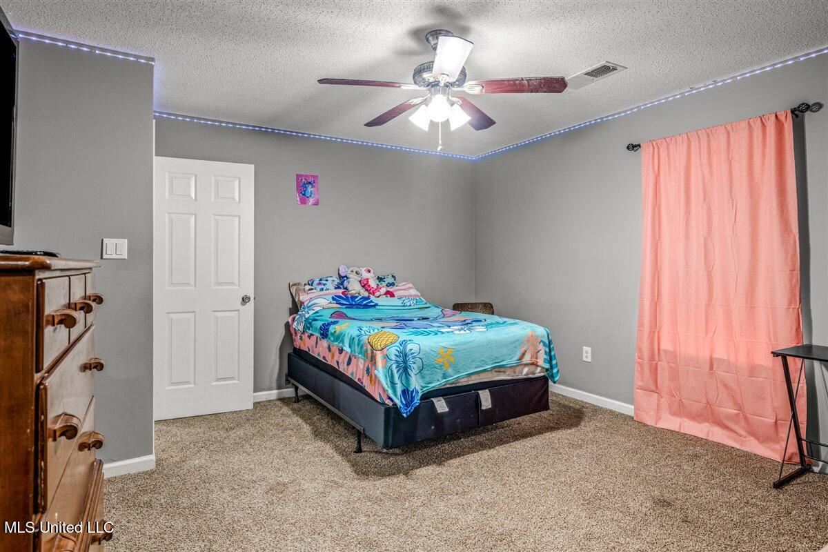 7255 Lucia Lane Walls, MS 38680 - Photo 13 of 24 IMG_9320