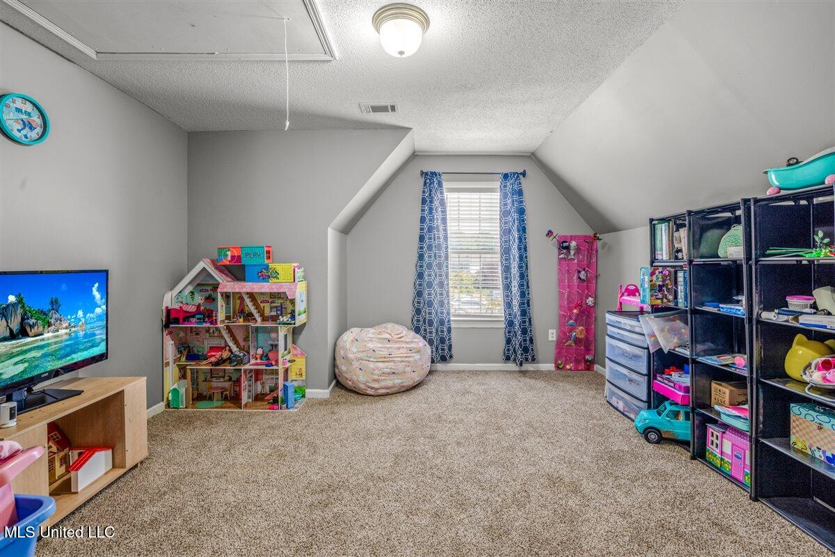 7255 Lucia Lane Walls, MS 38680 - Photo 16 of 24 IMG_9314