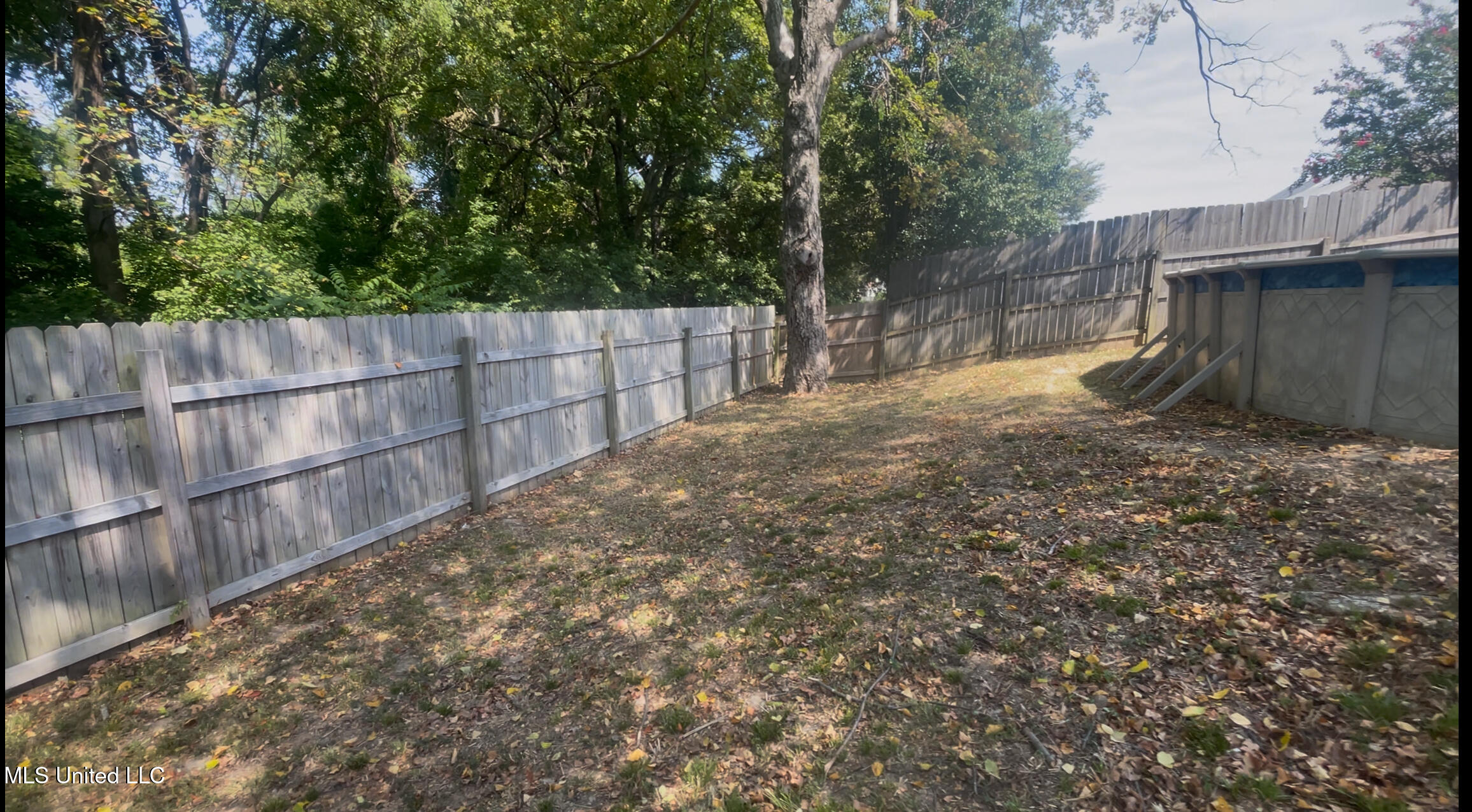 7255 Lucia Lane Walls, MS 38680 - Photo 21 of 24 IMG_2756