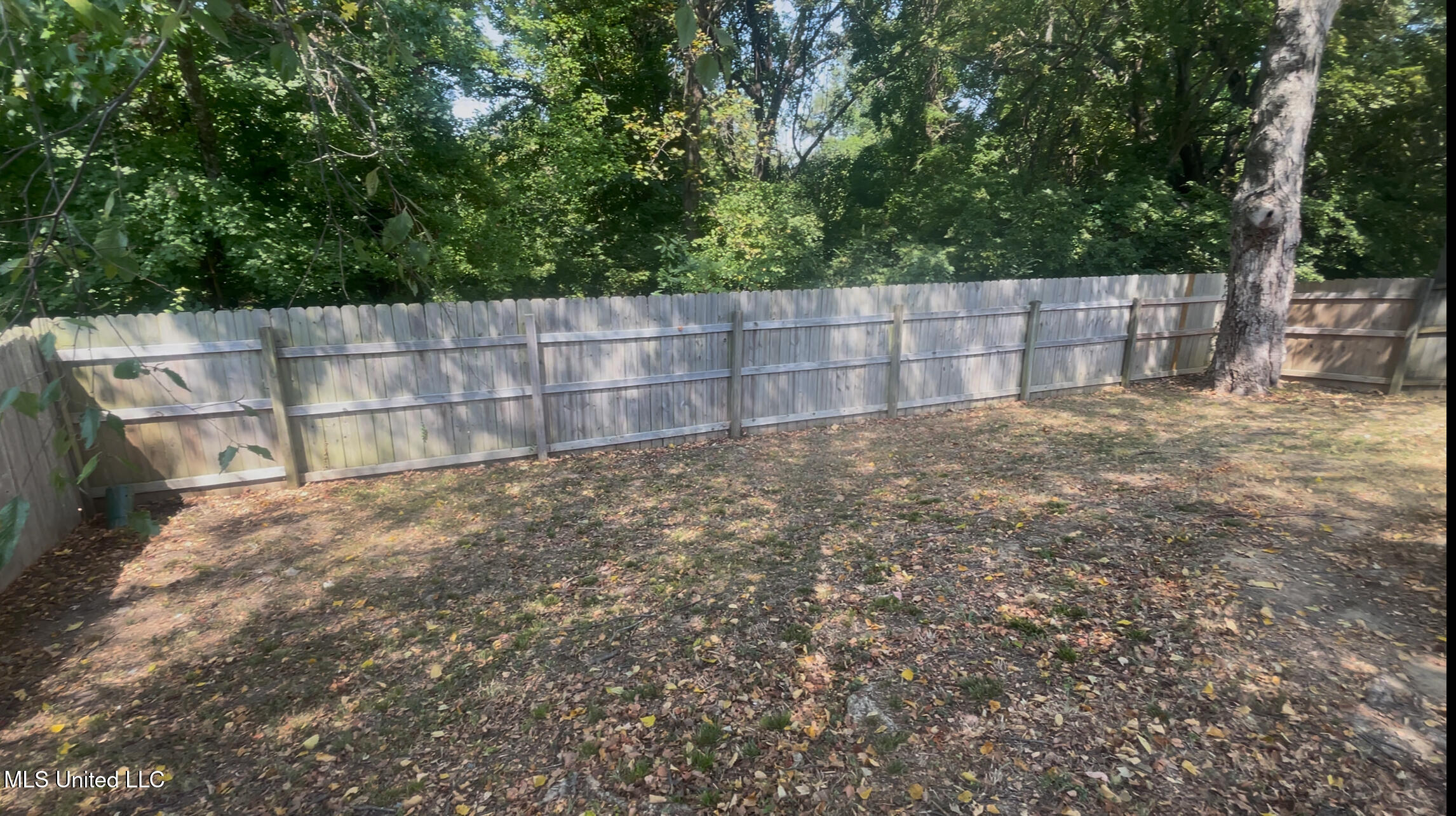 7255 Lucia Lane Walls, MS 38680 - Photo 23 of 24 IMG_2752