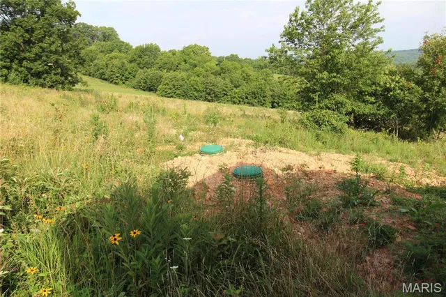 $119,900 | 0 Hwy 137 Unincorporated Mo 65793, Willow Springs, MO 65793