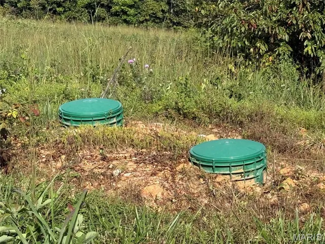 $119,900 | 0 Hwy 137 Unincorporated Mo 65793, Willow Springs, MO 65793