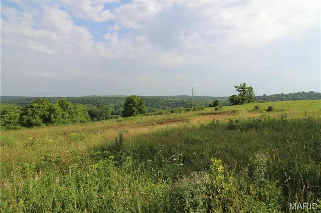 $119,900 | 0 Hwy 137 Unincorporated Mo 65793, Willow Springs, MO 65793