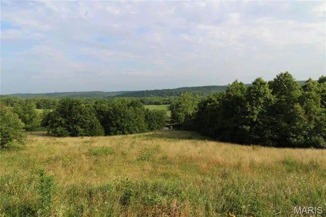 $119,900 | 0 Hwy 137 Unincorporated Mo 65793, Willow Springs, MO 65793