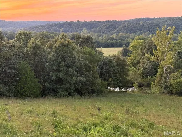 $119,900 | 0 Hwy 137 Unincorporated Mo 65793, Willow Springs, MO 65793
