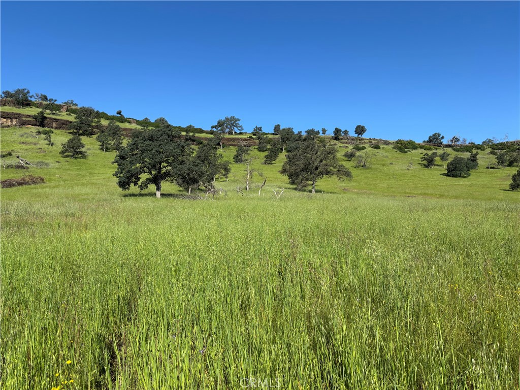 0 Cobble Creek Road Oroville, CA 95965 - Photo 31 of 55 a view of grassy field with trees