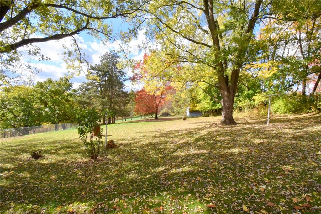 503 McKee Road Washington, PA 15301 - Photo 20 of 24 a view of yard with trees