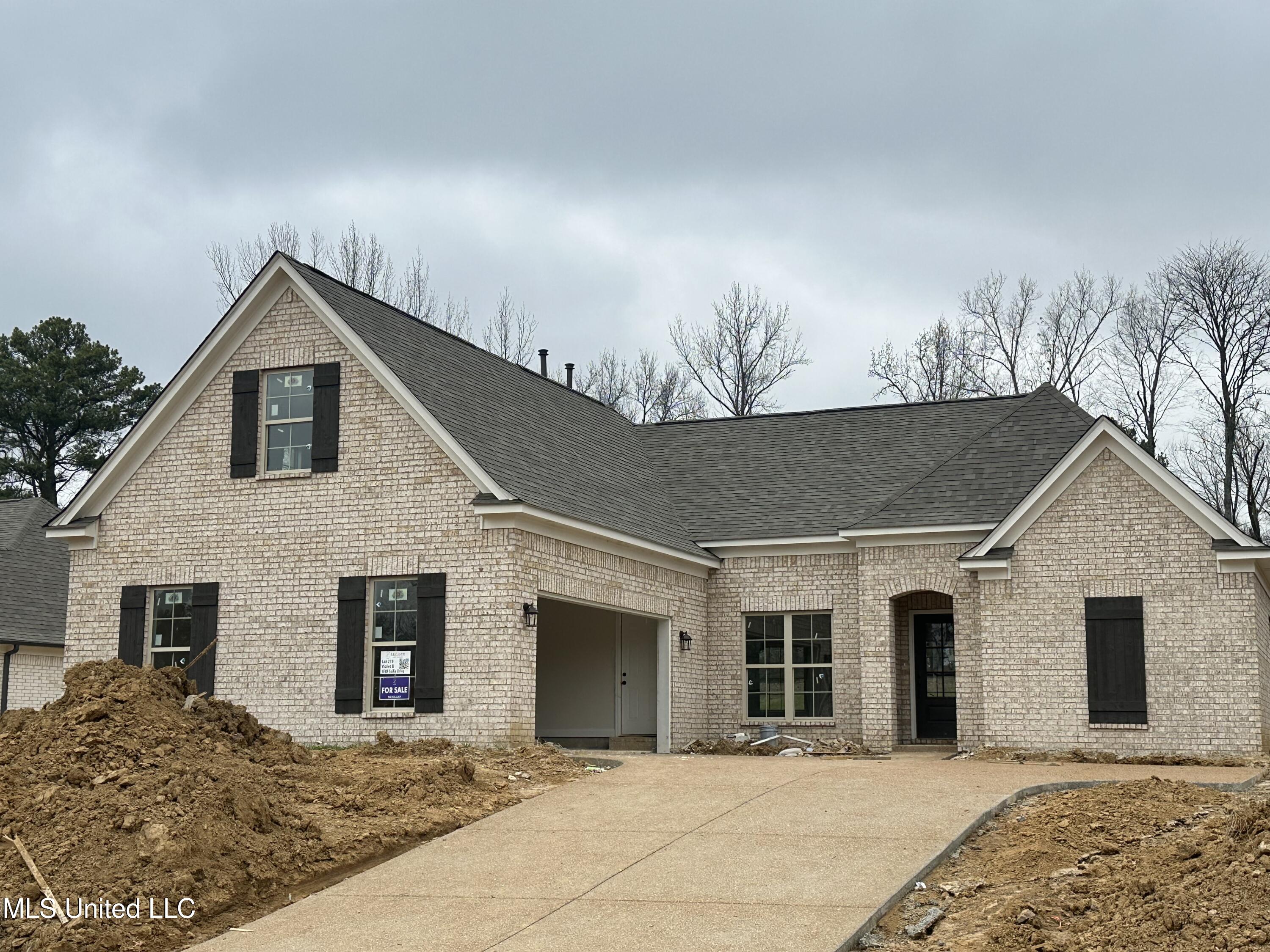 1008 Collie Drive Hernando, MS 38651 - Photo 1 of 3 IMG_4163