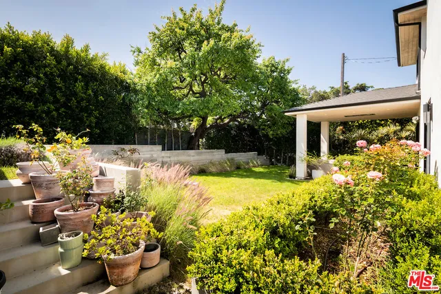 a view of a backyard with plants and patio