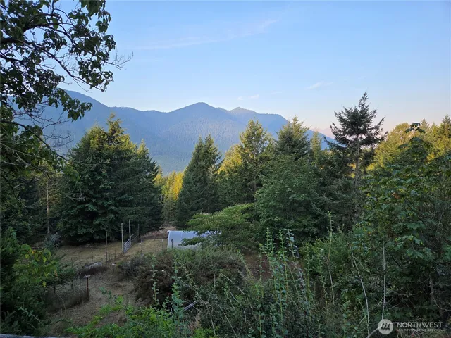 $799,000 | Undisclosed Address, Brinnon, WA 98320