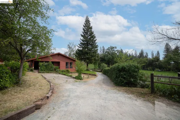 a view of a large garden with large trees