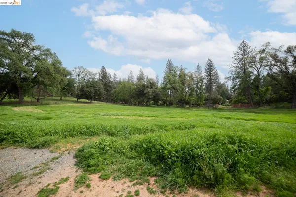 a house with trees in the background