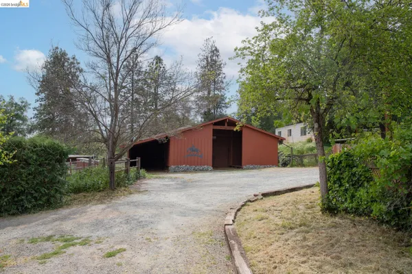 a view of a park with large trees