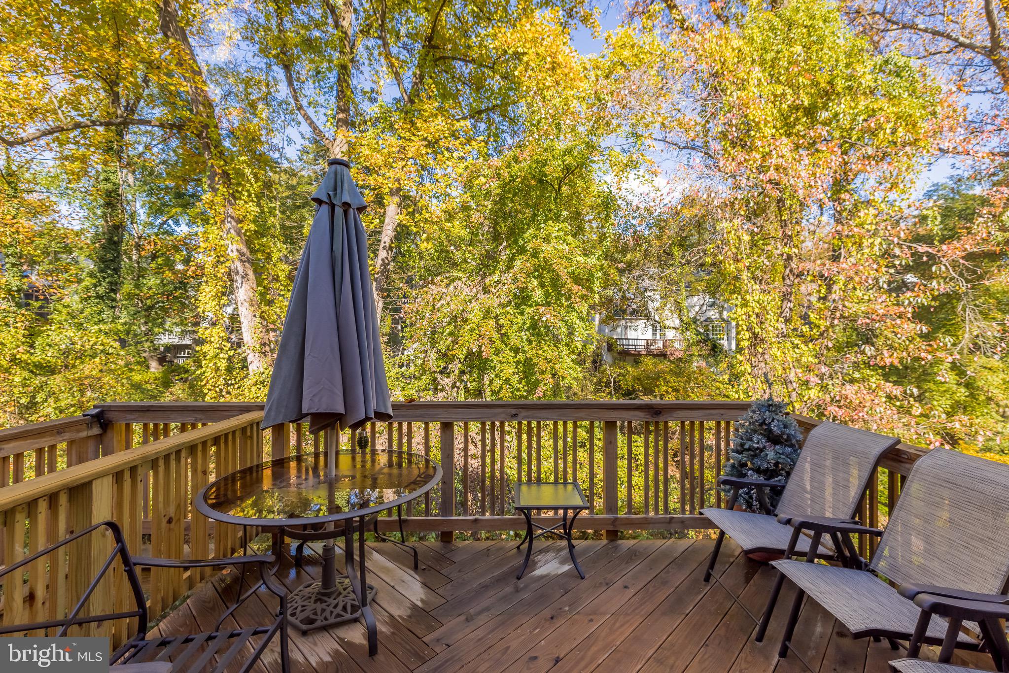 109 Kinsman View Circle Silver Spring, MD 20901 - Photo 46 of 49 Gallery Image 46