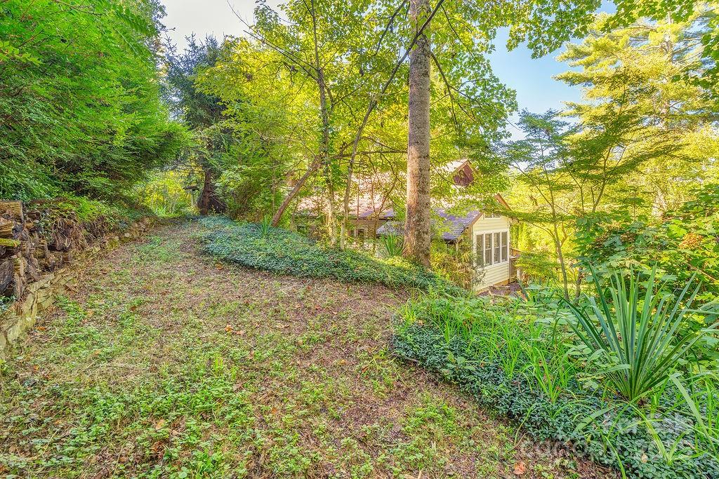 54 Spooks Branch Road Asheville, NC 28804 - Photo 40 of 41 a view of a yard with plants and trees