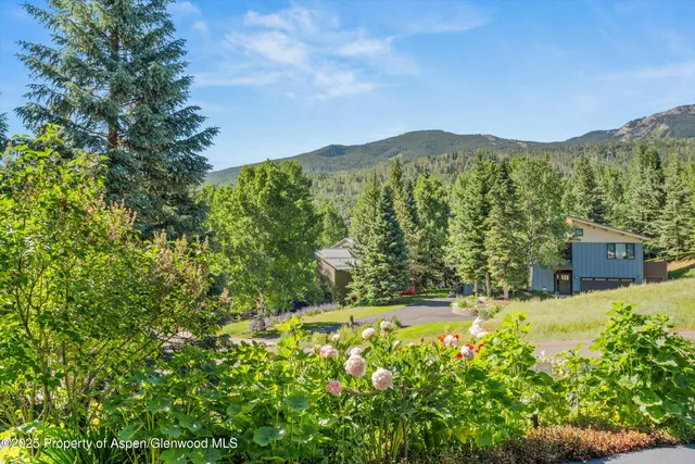 a view of a yard with a mountain