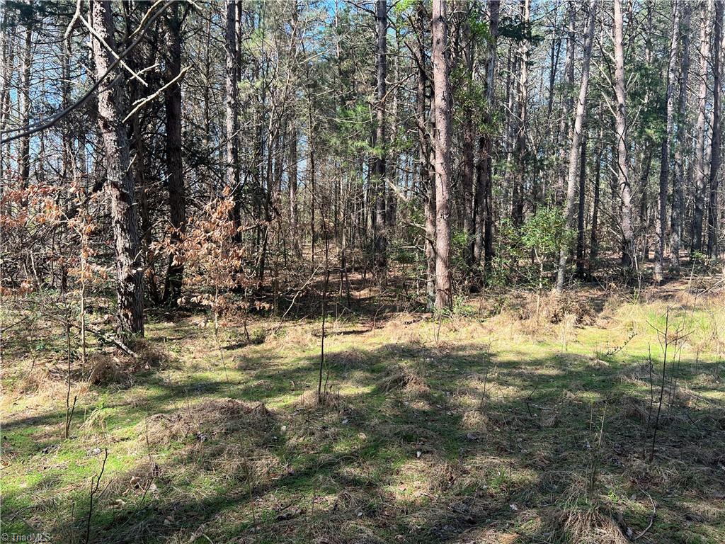 450 Powell Bridge Road Harmony, NC 28634 - Photo 11 of 18 Gallery Image 11