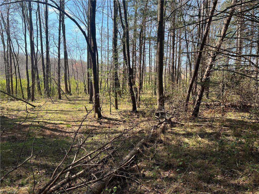 450 Powell Bridge Road Harmony, NC 28634 - Photo 12 of 18 Gallery Image 12