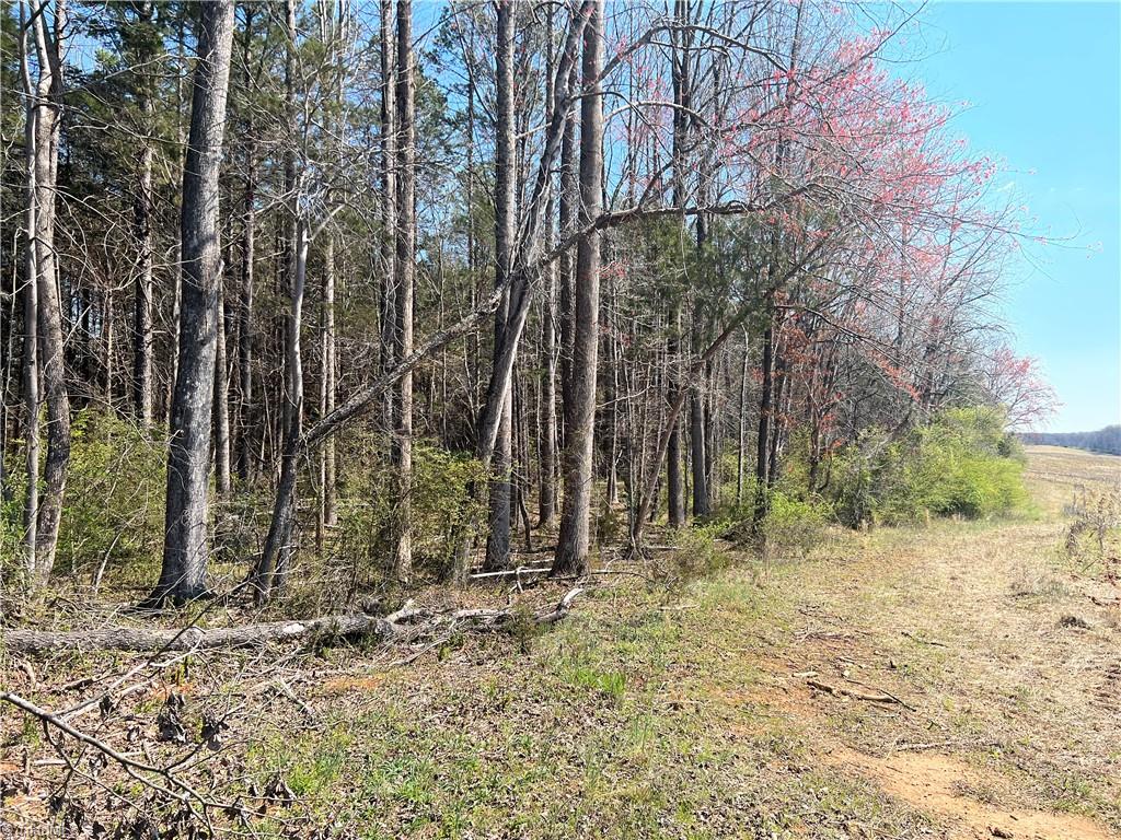 450 Powell Bridge Road Harmony, NC 28634 - Photo 13 of 18 Gallery Image 13
