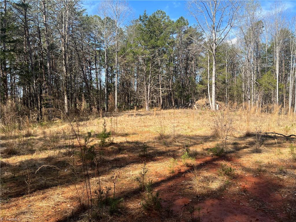 450 Powell Bridge Road Harmony, NC 28634 - Photo 14 of 18 Gallery Image 14