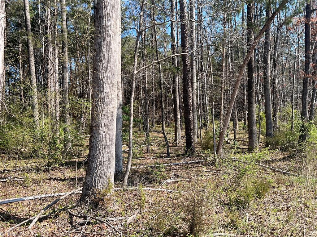 450 Powell Bridge Road Harmony, NC 28634 - Photo 15 of 18 Gallery Image 15