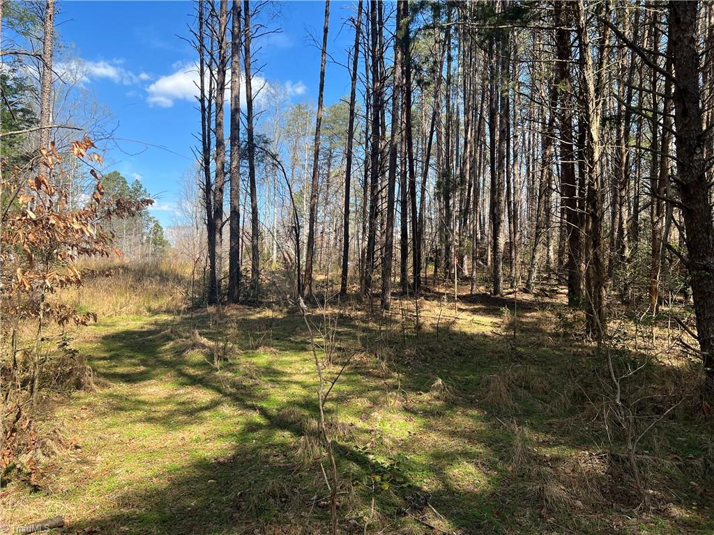 450 Powell Bridge Road Harmony, NC 28634 - Photo 16 of 18 Gallery Image 16