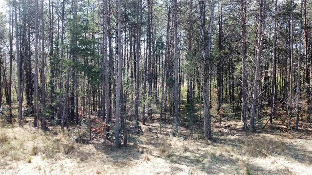 450 Powell Bridge Road Harmony, NC 28634 - Photo 18 of 18 Gallery Image 18