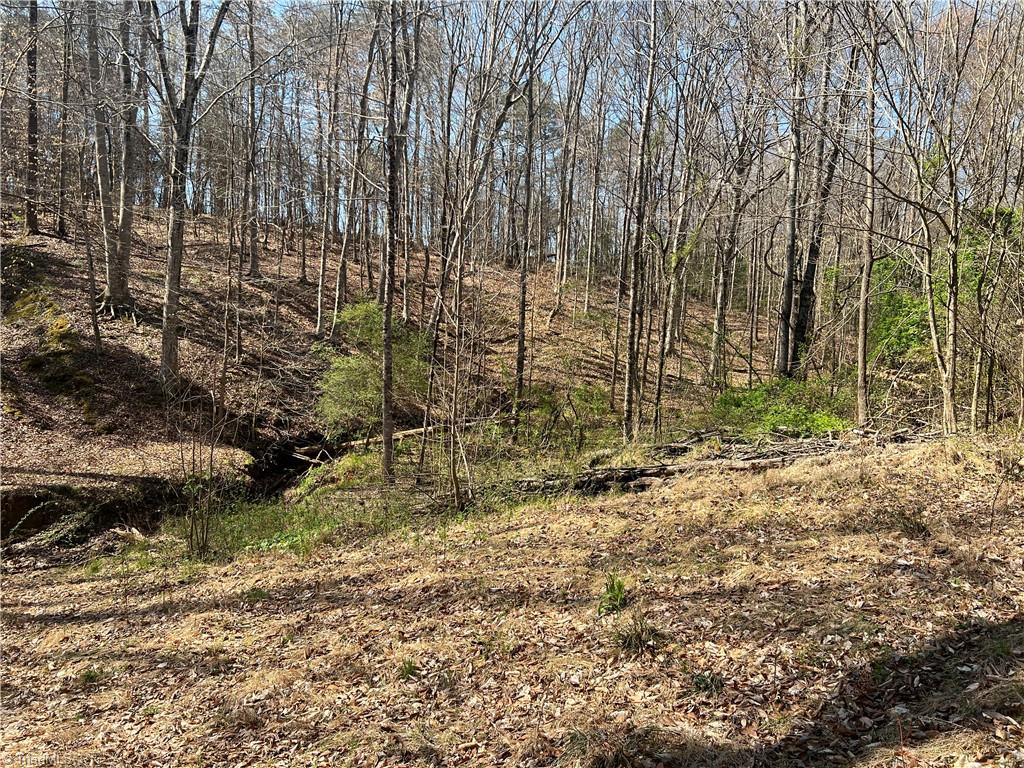 450 Powell Bridge Road Harmony, NC 28634 - Photo 3 of 18 Gallery Image 3