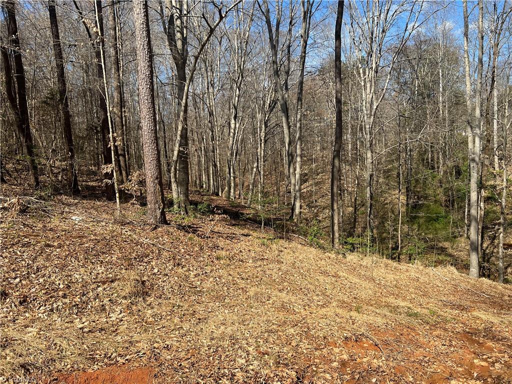 450 Powell Bridge Road Harmony, NC 28634 - Photo 6 of 18 Gallery Image 6