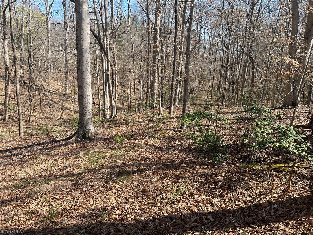 450 Powell Bridge Road Harmony, NC 28634 - Photo 7 of 18 Gallery Image 7