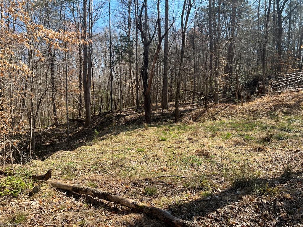 450 Powell Bridge Road Harmony, NC 28634 - Photo 8 of 18 Gallery Image 8