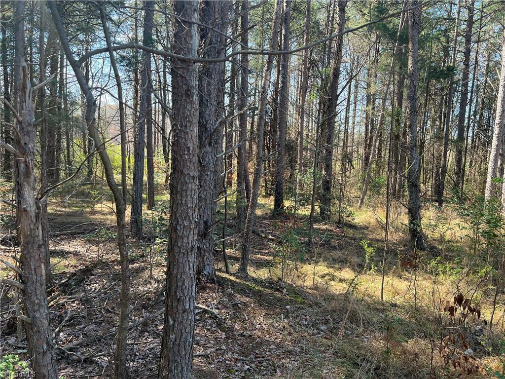 450 Powell Bridge Road Harmony, NC 28634 - Photo 10 of 18 Gallery Image 10