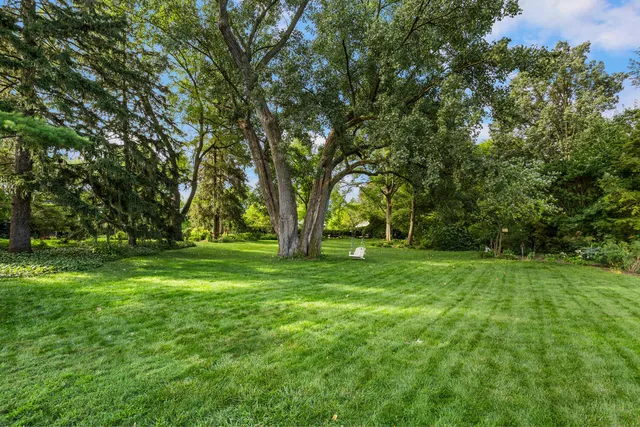 a view of a garden with plants