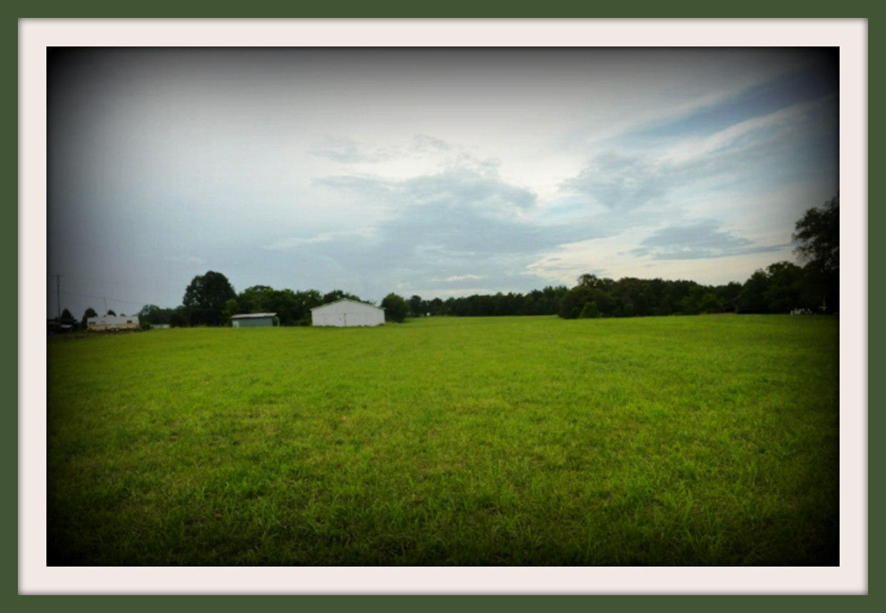 Tract I Burchfield Road Dandridge, TN 37725 - Photo 3 of 9 6-22-2011 033f