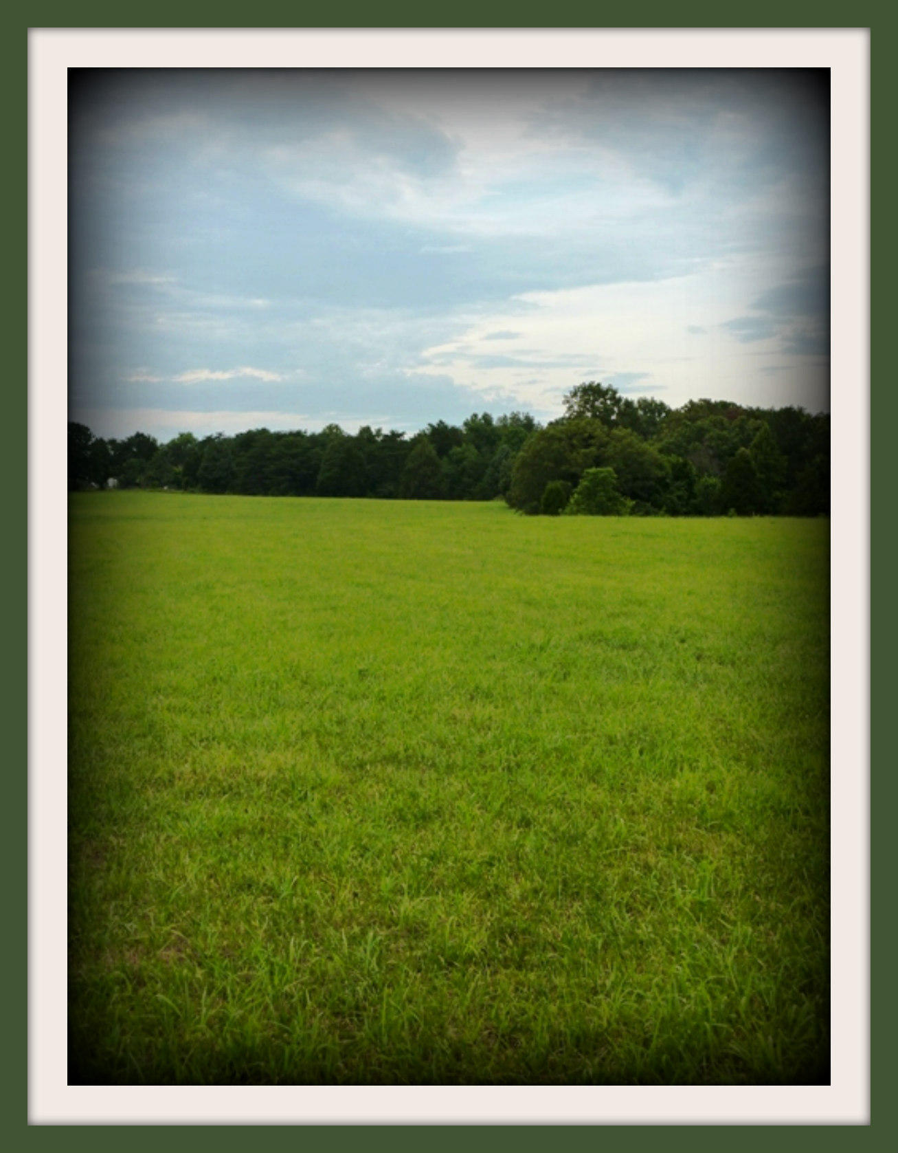 Tract I Burchfield Road Dandridge, TN 37725 - Photo 4 of 9 6-22-2011 034f