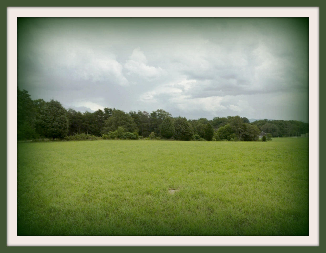 Tract I Burchfield Road Dandridge, TN 37725 - Photo 7 of 9 6-22-2011 039f
