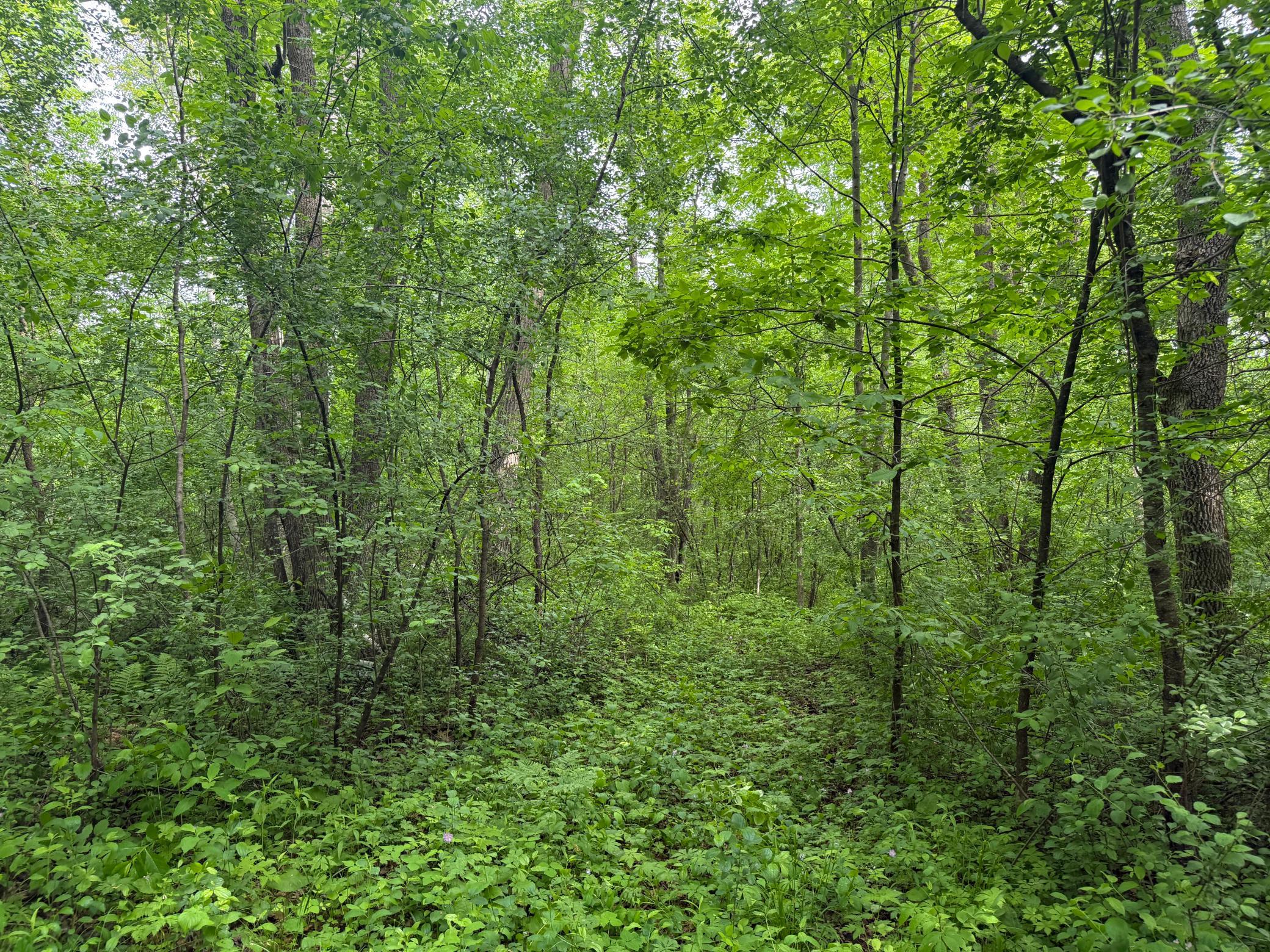 10551 Mallard Road Brook Park, MN 55007 - Photo 30 of 44