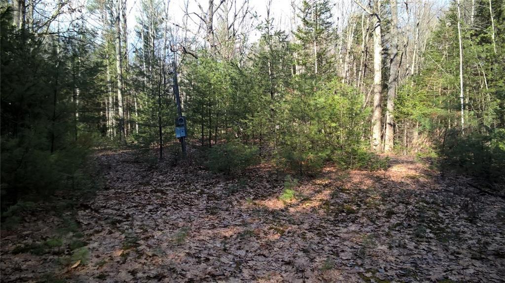 Lot 18 Kennebunk Pond Road Lyman, ME 04002 - Photo 2 of 3 Lot